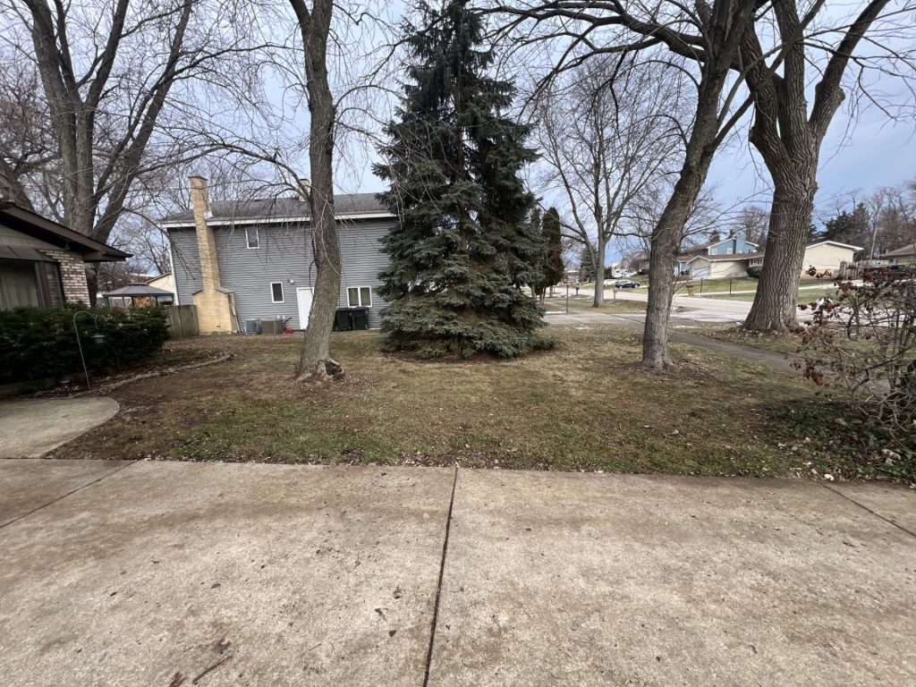 Post-Fall Leaf Cleanup