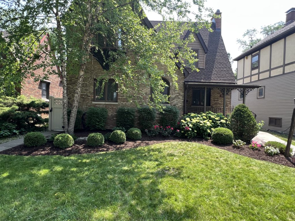 Residential Bush Trimming